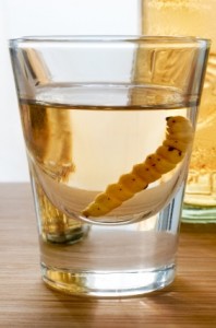 Mezcal in with the worm