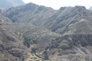 The mountainside with the agricultural steps