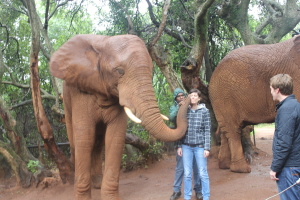 Getting a kiss from the kind elephant
