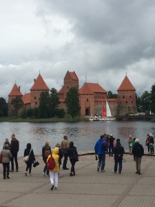 Flocks run to the see Trakai castle